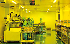 S/M Printing Machine